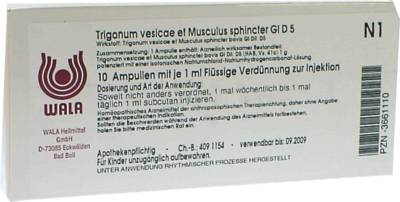 TRIGONUM vesicae et Musculus sphincter GL D 5 Amp. 10X1 ml von WALA Heilmittel GmbH