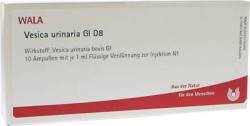 VESICA URINARIA GL D 8 Ampullen 10X1 ml von WALA Heilmittel GmbH