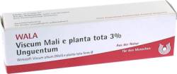 VISCUM MALI e planta tota 3% Unguentum 30 g von WALA Heilmittel GmbH