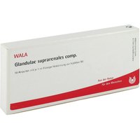 Glandulae Supraren. Comp. Ampullen von WALA