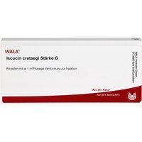 Iscucin Crataegi StÃ¤rke G Ampullen von WALA