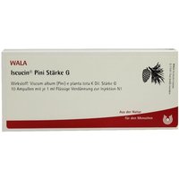 Iscucin pini StÃ¤rke G Ampullen von WALA