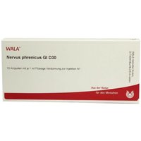 Nervus Phrenicus Gl D30 Ampullen von WALA