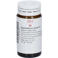 Wala® Equisetum ex herba D 6 von WALA