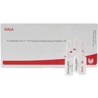 Wala® Hirnstamm Gl D 12 von WALA