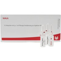Wala® Iscucin Crataegi Stärke B Ampullen von WALA