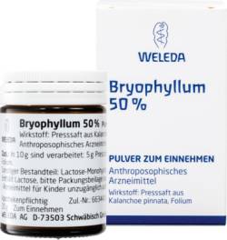 BRYOPHYLLUM 50% Pulver zum Einnehmen 50 g von WELEDA AG