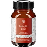 Waldkraft Kraftpilze Flora – Vitalpilz Synergetikum von Waldkraft.