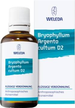 WELEDA BRYOPHYLLUM ARGENTO cultum D 2 Dilution von Weleda AG