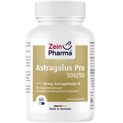 Zein Pharma Astragalus Pro 500/50 von ZeinPharma Germany GmbH