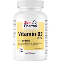 Vitamin B5 PantothensÃ¤ure 500 mg Kapseln von ZeinPharma