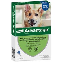 Advantage® 400 mg Spot-On für Hunde 25 - 40 kg von advantage