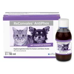 ReConvales AntiPhos flüssig für Hunde und Katzen von alfavet Tierarzneimittel GmbH