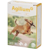 Agilium+