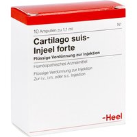 Cartilago suis Injeel forte Ampullen