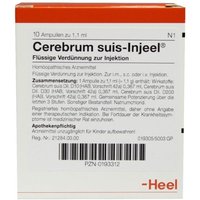 Cerebrum Suis Injeel Ampullen