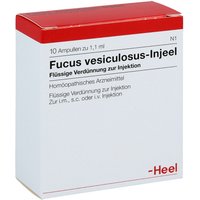 Fucus Vesiculosus Injeel Ampullen