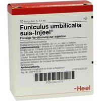 Funiculus Umbilicalis suis Injeel Ampullen
