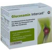 Glucosamin Intercell Kapseln