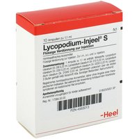 Lycopodium Injeel S Ampullen