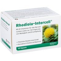 Rhodiola Intercell Kapseln