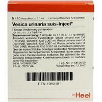 Vesica urinaria suis-Injeel Ampullen