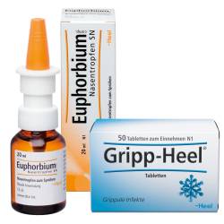 Gripp Heel Tabletten & Euphorbium comp SN Spray Set von diverse Firmen