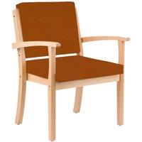 einrichtungsdesign24 Stuhl für Schwergewichtige mit Armlehnen bis 250kg Alexander XXL von einrichtungsdesign24