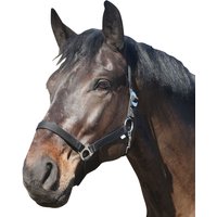 Eldorado Pferde-Halfter Standard von eldorado