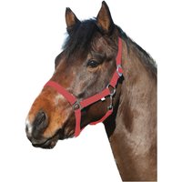 Eldorado Pferde-Halfter Standard von eldorado