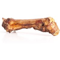 mascota vital - Pferde-Knochen mit Sehne von mascota vital