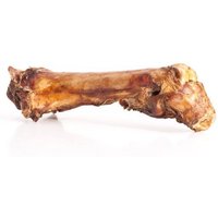 mascota vital - Pferde-Knochen mit Sehne von mascota vital
